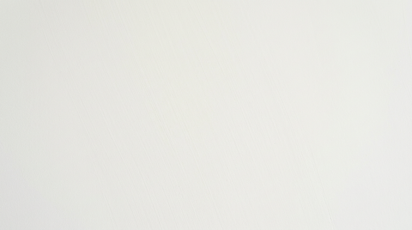 Acrylic Wall Putty 2