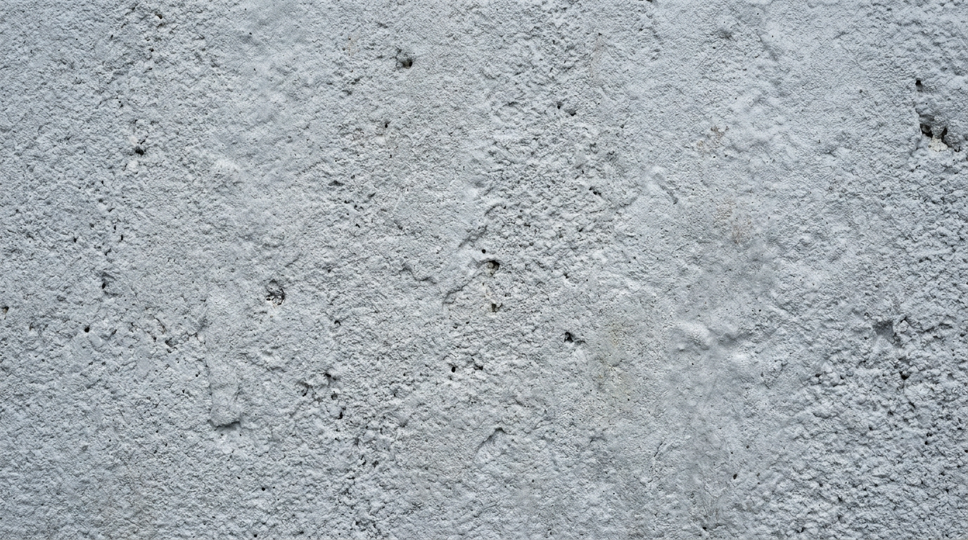 Elastomeric Paint 1