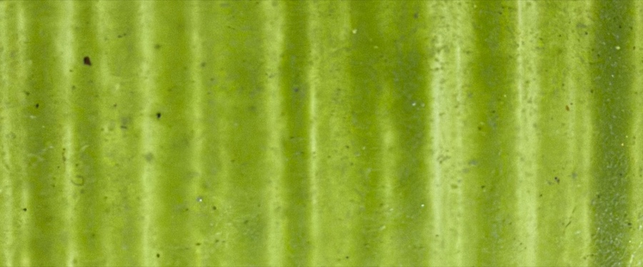 Fern Glow, BRH-07, Brushing finish