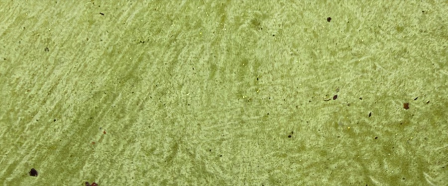 Lime Sorbet, CLW-05, Colourwash finish