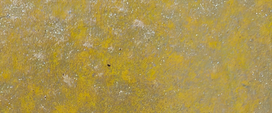 Saffron Dust, SPG-06, Sponging finish